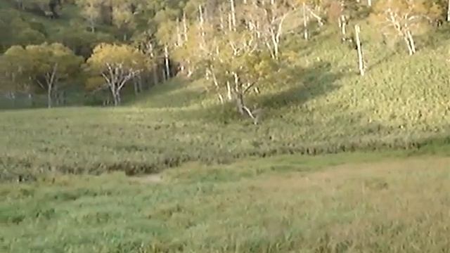 Язевое озеро, Сахалин смотреть онлайн