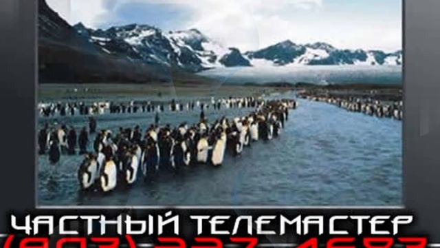 Ремонт телевизора Боровицкая смотреть онлайн