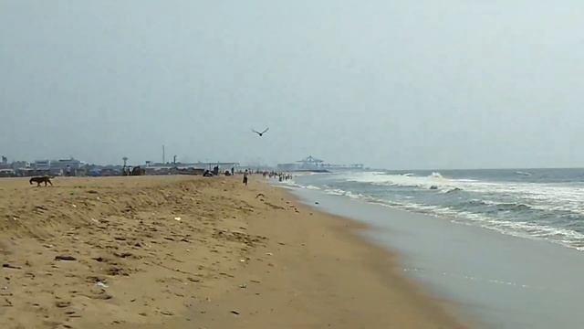 MARINA BEACH longest beach of INDIA.// Awesome place to visit in Tamil Nadu смотреть онлайн