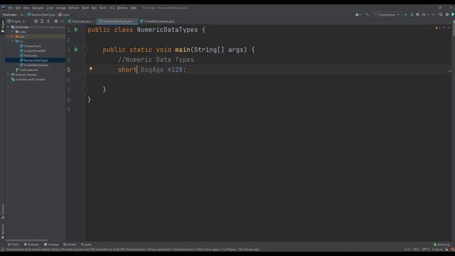 Java Basics #004: Java Numeric Data Types смотреть онлайн