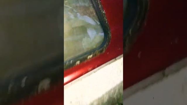 1986 DODGE RAM TRUCK D-150 V-8 AUTOMATIC 2-WD & details in pinned comment ?! THANK YOU for viewing! смотреть онлайн