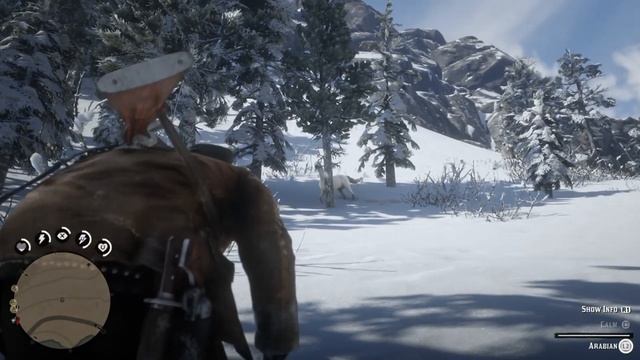 САМЫЙ ЛУЧШИЙ КОНЬ В ИГРЕ-ГДЕ ЕГО НАЙТИ ГАЙД - Red Dead Redemption 2 смотреть онлайн