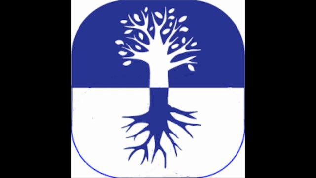 Высший закон