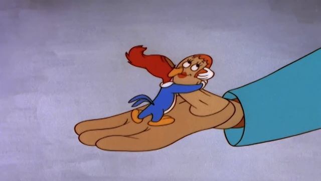 Woody Woodpecker | Packin Woodpecker | Full Episodes