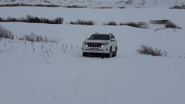 Прадо 150 смотреть онлайн