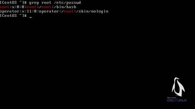 Expressões Regulares Simples - RegExp: É uma excelente forma de encontrar padrões em textos. смотреть онлайн