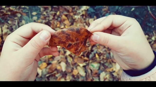 Лучшее видео снятое на телефон . смотреть онлайн