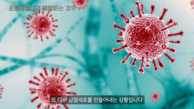 HPV, 인유두종바이러스 완치 가능할까요? (재발하지 않는 방법) | #자궁경부암 #자궁경부암백신 смотреть онлайн