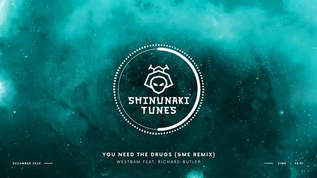 Westbam Feat. Richard Butler - You Need The Drugs (&ME Remix) [Keinemusik]