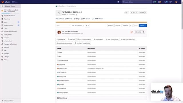 GitLabGo - Push Rules смотреть онлайн
