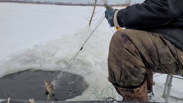 Проверка сети. Щука, лещ смотреть онлайн