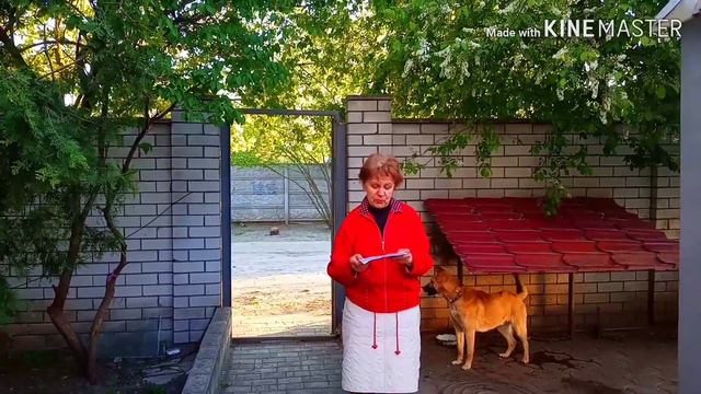 Песня ,, Березовая роща 2 " #128 смотреть онлайн