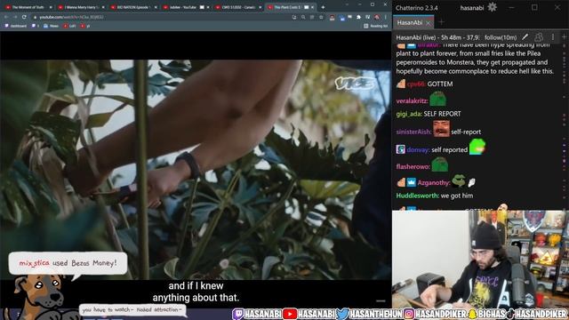 Hasanabi Reacts to This Plant Costs $14,000 — And People Are Stealing It | VICE смотреть онлайн