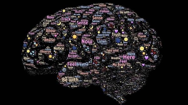 Зачем математика нужна программисту. Зачем нужна математика ?