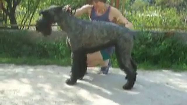 п-к Роман-Кош..Первый раз на удавке. В гостях Роман-Кош Берри Бьюти Квин. дочь Балаклавы и Танго