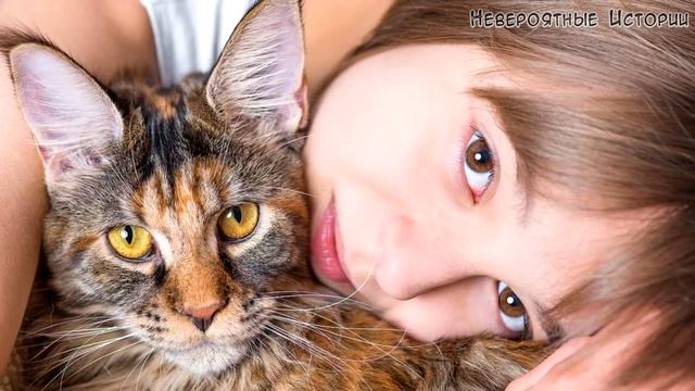 Этот бракованный -, сказала хозяйка про котёнка.- Его никто не возьмёт. Я возьму-тихо сказала Наташ смотреть онлайн