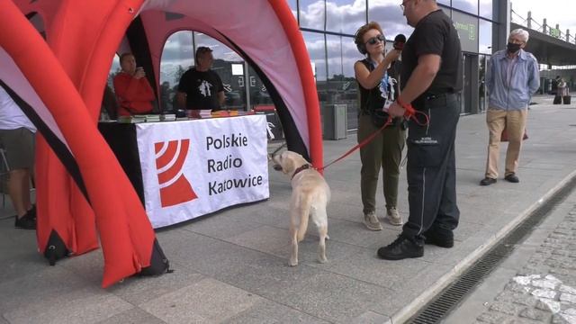 Lato Tajemnic z Radiem Katowice w Katowice Airport. 25.08.2021. смотреть онлайн
