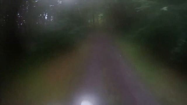 【林道探訪】林道 大蛇組線 with Honda XR230 GoPro HD смотреть онлайн