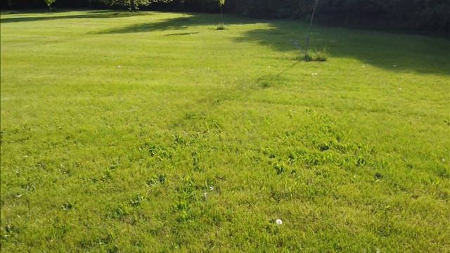 Mavic Mini in NFZ zone, 2 feet above the ground. смотреть онлайн
