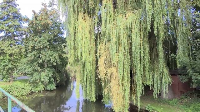 Амьен, родной город  президента Emmanuel Macron  | Влог Франция 2023