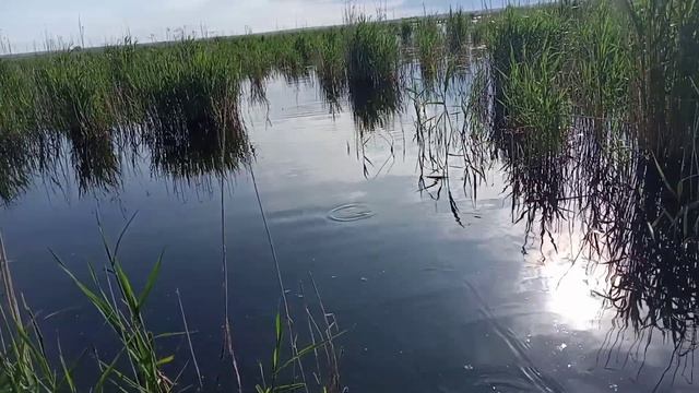 Щучье . Продолжение рыбалки с Виталиком . смотреть онлайн