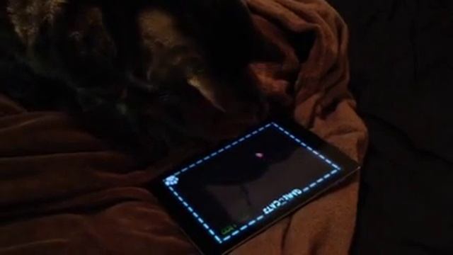 Monkey and the red dot game смотреть онлайн