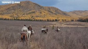 Охота на марала. Южная Сибирь, Тува.