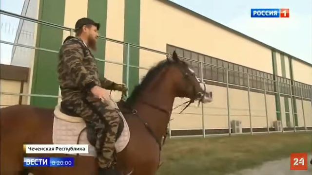 Кадыров глумится над Помпео смотреть онлайн