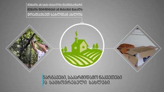 Halyomorpha Halys смотреть онлайн