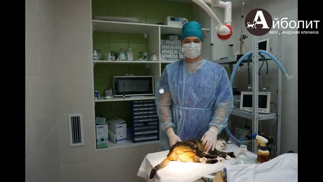 Модифицированная уретростомия