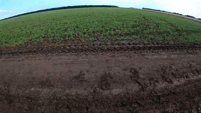 HORSCH AVATAR 12.25 SD . Кировец К- 525 Премиум. Всходы и сеялка в работе.