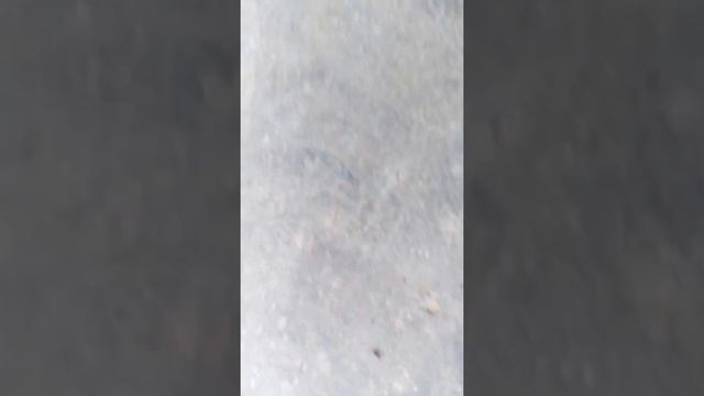 СПЛИТСТОУН GM 245 (мозаично шлифовальная машина) технология полировки бетона. смотреть онлайн