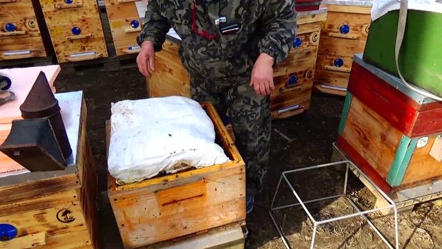 Весна, из омшаника в новые ульи , Апидомик смотреть онлайн