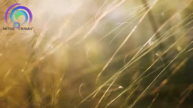 Душевное и внутреннее равновесие   упражнение по методу Сильва