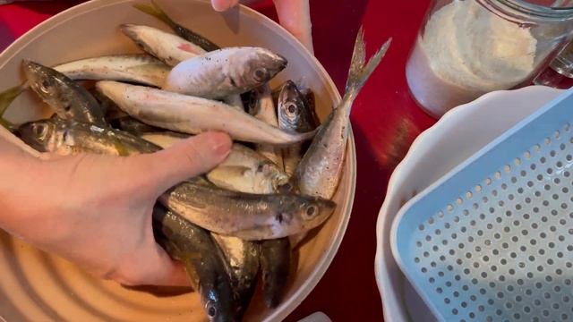 Быстрый и простой способ пожарить ставридку!