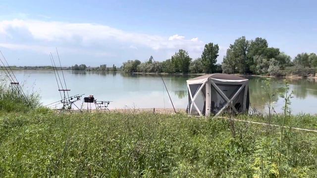 Соревнования перед Чемпионатом Алматы по карповой ловле. смотреть онлайн