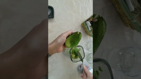 Смузи из авокадо, шпината и банана/ Smoothie mit Avokado, Spinat und Banane.