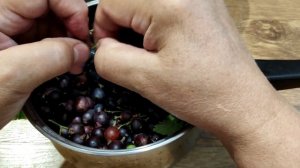 ЖИВОЕ ВАРЕНЬЕ из ЙОШТЫ.Йошта перетертая с сахаром. ЙОШТА -чем полезна и примечательна