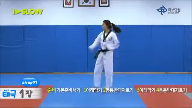 ТАЭКВОНДО ВТФ. ФОРМАЛЬНЫЕ КОМПЛЕКСЫ. 1-е ПУМСЭ -- ТЭГУК ИЛЬ ДЖАН 8 гып