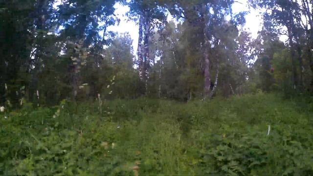 Скаут Сафари 3 Bigfoot. Верхом на рыжем друге на плантации иван-чая или летние покатушки смотреть онлайн