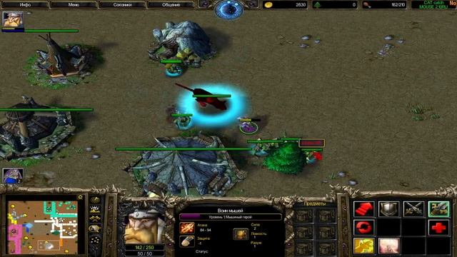 НЕОБЫЧНЫЕ КОМАНДНЫЕ ТАКТИКИ МЫШЕЙ - КотоМышь (Cat & Mouse) Warcraft III смотреть онлайн
