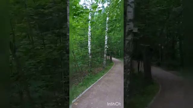 Белки кругом одни белки.Парк Швейцария.Нижний Новгород смотреть онлайн