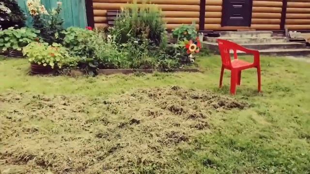 Года камеры