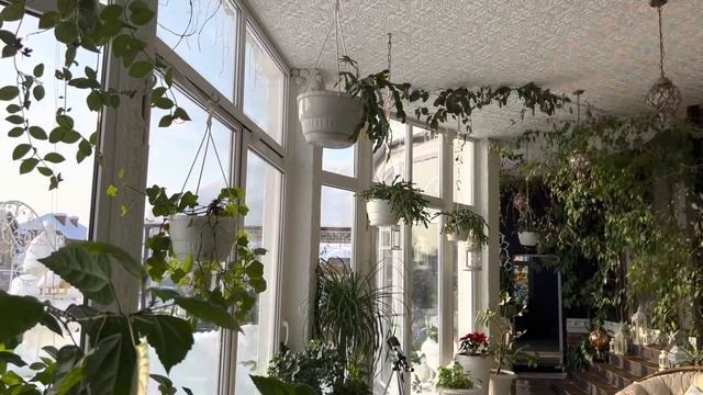 Мои комнатные растения ? мой зимний сад, экскурсия смотреть онлайн