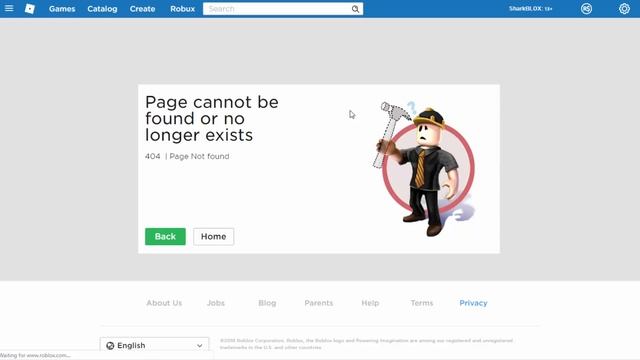 Roblox Banned This Rare Account Because Of Me :(