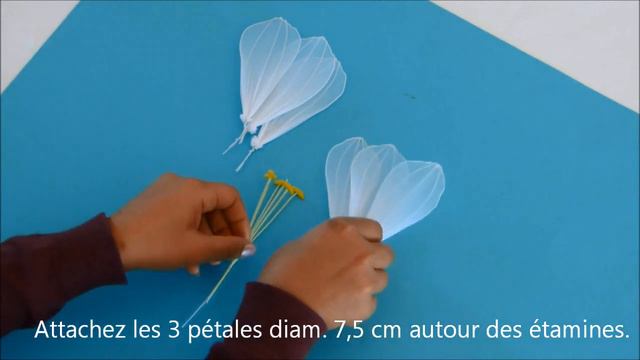 Fabrication d'un amaryllis en collant / How to make a nylon amaryllis смотреть онлайн