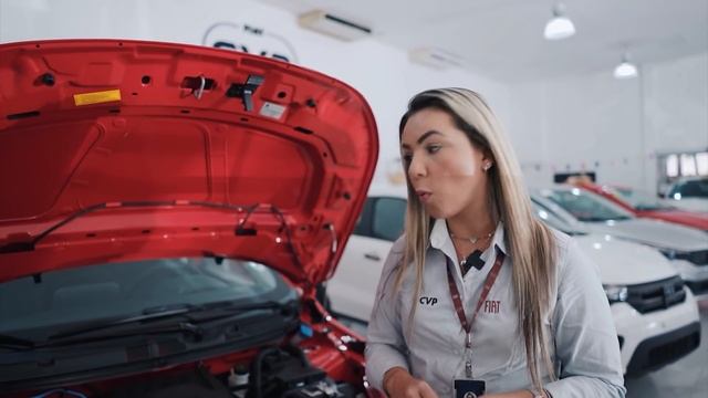 CVP Veículos - Comprou FIAT Argo, levou JBL GO 2 смотреть онлайн