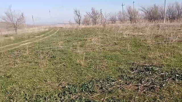 7 апреля 2024 г. (4).mp4 смотреть онлайн