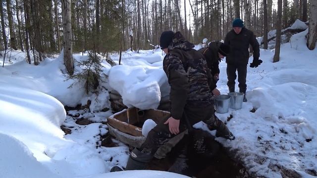 CAME TO THE COUNTRYMANS IN THE TAIGA IN THE LOG CABIN.Visited The Taiga Bath.Wolf Tracks Next To US