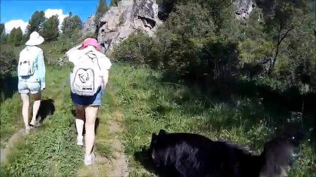 Портал......Телепортироваться не получилось. смотреть онлайн